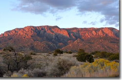 Four Hills Village Neighborhood Association - Albuquerque hot air balloons